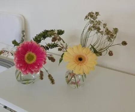 Bed & Breakfast Klein Appartementje Zonder Keuken In Het Centrum Sleep At Hamtingh's