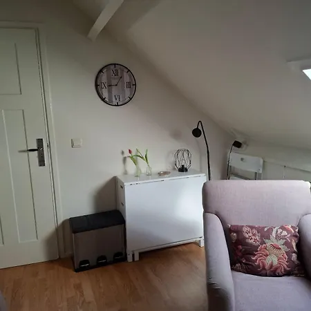 Klein Appartementje Zonder Keuken In Het Centrum Sleep At Hamtingh's 3*