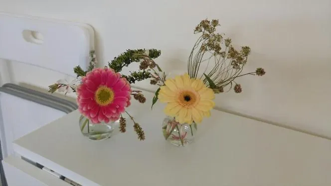 Bed & Breakfast Klein Appartementje Zonder Keuken In Het Centrum Sleep At Hamtingh's