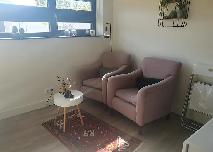 Klein Appartementje Zonder Keuken In Het Centrum Sleep At Hamtingh's Bed & Breakfast