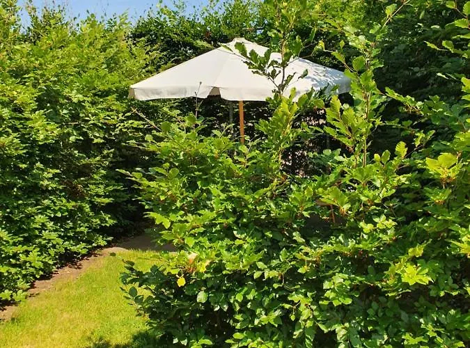 Bed & Breakfast Klein Appartementje Zonder Keuken In Het Centrum Sleep At Hamtingh's Hilvarenbeek