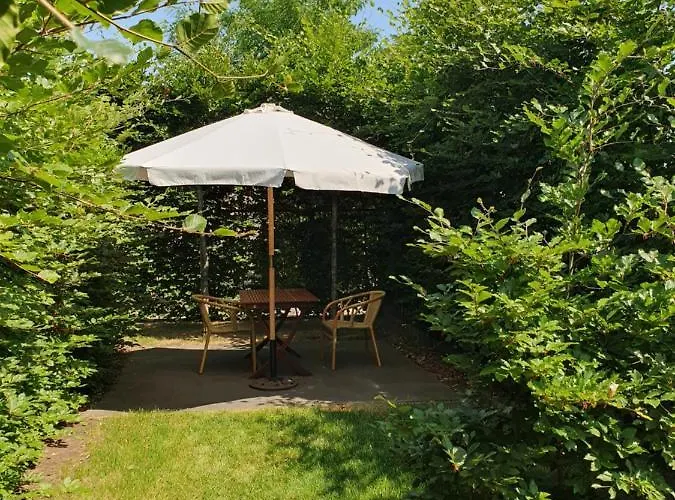 Bed & Breakfast Klein Appartementje Zonder Keuken In Het Centrum Sleep At Hamtingh's