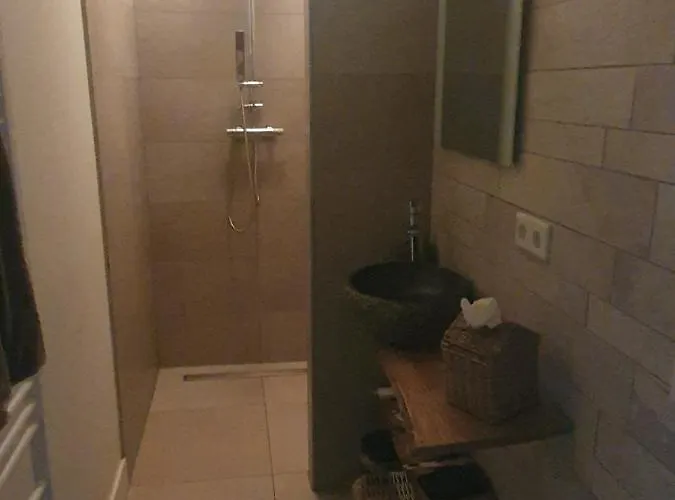 Bed & Breakfast Klein Appartementje Zonder Keuken In Het Centrum Sleep At Hamtingh's